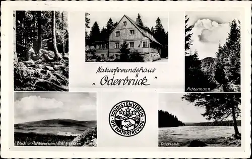 Ak Oderbrück Braunlage im Oberharz, Naturfreundehaus, Achtermann, Haus Sommer, Oderteich