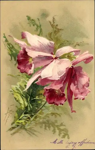 Künstler Litho Klein, C., Pinke Blumen