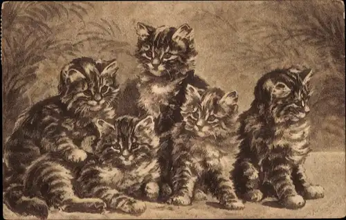 Künstler Ak Fünf junge getigerte Katzen, Kätzchen