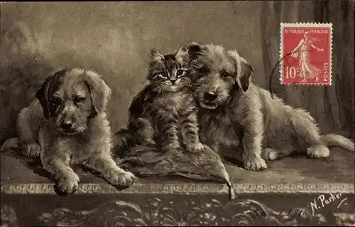 Künstler Ak Parker, N., Zwei junge Hunde, Kätzchen auf einem Kissen