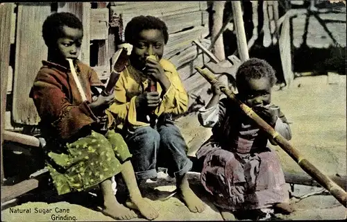 Ak Natural Sugar Cane Grinding, Kinder mit Zuckerrohr