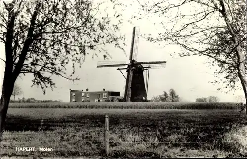 Ak Hapert Nordbrabant, Molen