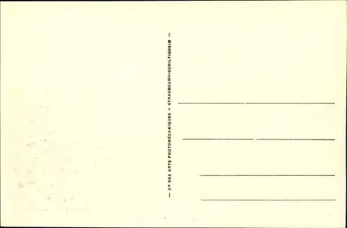 Ak Tunis Tunesien, Gesamtansicht