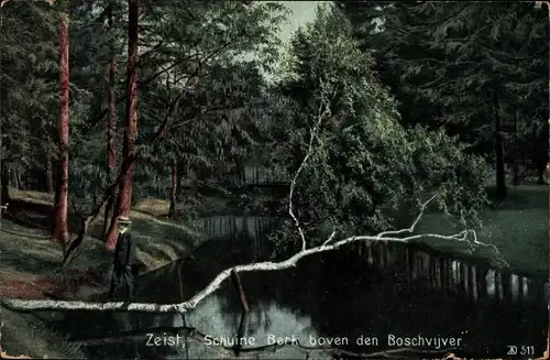 Ak Zeist Utrecht Niederlande, Schuine Berk, boven den Boschvijver