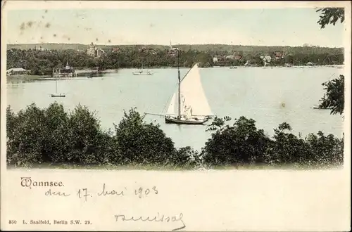 Ak Berlin Zehlendorf Wannsee, Panorama, Segelboot