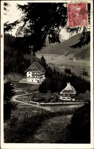 Ak Titisee Neustadt im Breisgau Hochschwarzwald, Pension Haus Sonnhalde