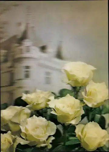 3-D Ak White Roses and Castle, weiße Rosen, Schloss