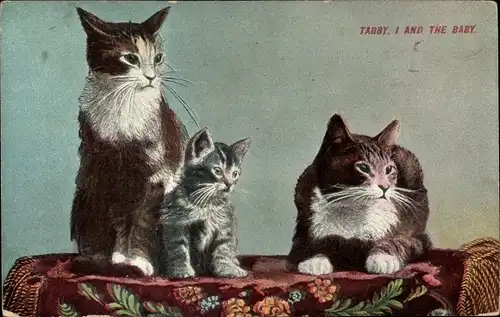 Ak Tabby, I and the Baby, Zwei Katzen mit jungem Kätzchen