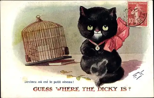 Künstler Ak Guess where the Dicky is, Katze neben leerem Vogelkäfig