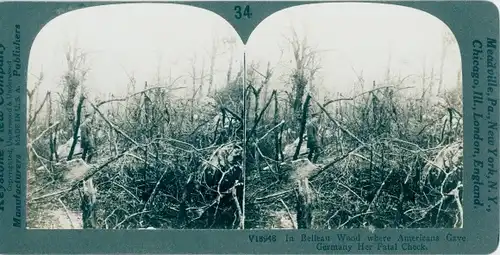 Stereo Foto Belleau Wood Aisne, Where Americans gave Germany her fatal check
