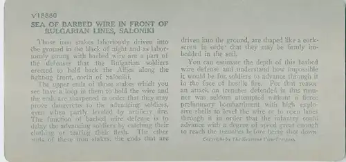 Stereo Foto Thessaloniki Griechenland, Sea of barbed wire in front of Bulgarian Lines, I WK