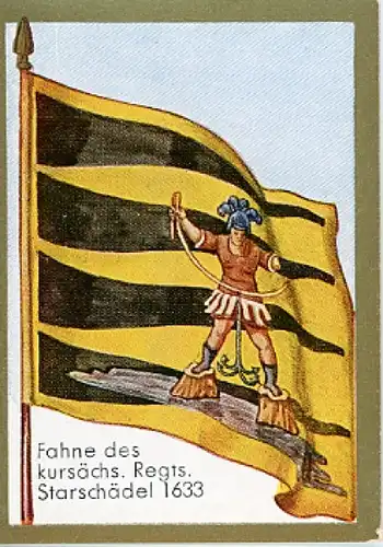 Sammelbild Historische Fahnen Nr. 119 Fahne des kursächs. Regiments Starschädel 1633