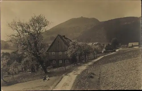 Foto Ak Waltersdorf, Teilansicht des Ortes, Kinder auf Wiese