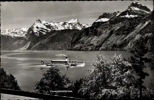 Ak Vierwaldstättersee Kanton Uri, Dampfer MS Schwyz, Bergpanorama