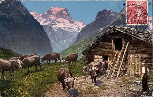 Ak Kleines Wohnhaus in den Bergen, Berggipfel, Kühe, Bauer
