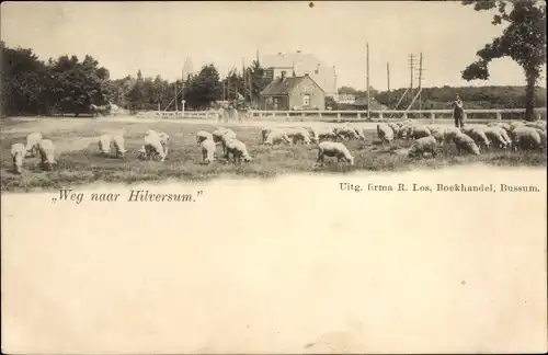 Ak Hilversum Nordholland Niederlande, Weg naar Hilversum, Schafherde mit Schäfer