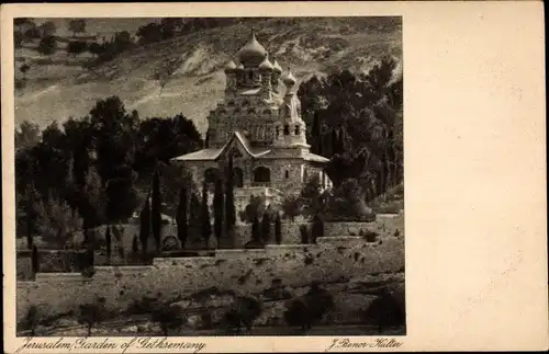 Ak Jerusalem Israel, Garten Gethsemane