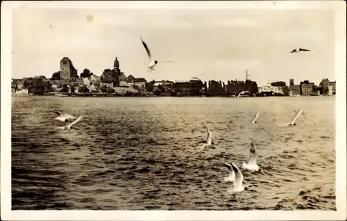 Ak Waren an der Müritz, Blick von der Müritz auf die Stadt, Möwen im Flug