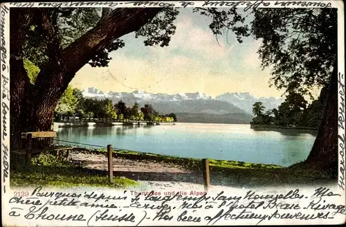 Ak Thun Kanton Bern Schweiz, See, Alpen