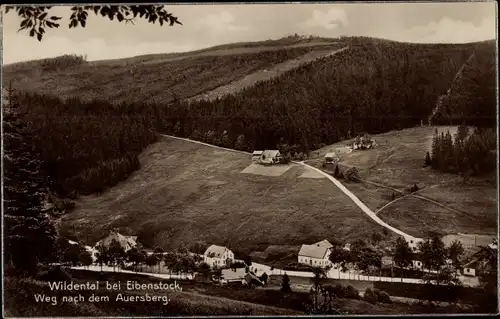 Ak Wildenthal Eibenstock im Erzgebirge, Auersberg