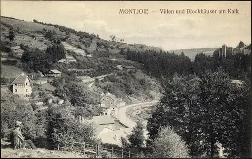 Ak Monschau Montjoie in der Eifel, Villen und Blockhäuser am Kalk