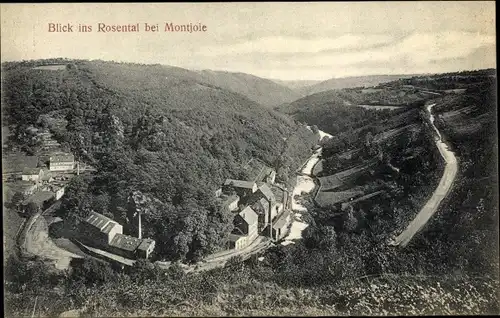 Ak Monschau Montjoie in der Eifel, Blick ins Rosental