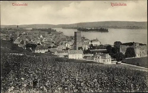 Ak Rüdesheim am Rhein, Totalansicht