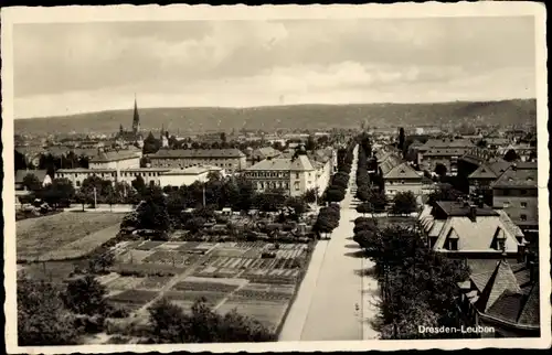Ak Dresden Leuben, Panorama