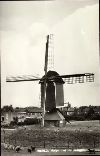 Ak Mierlo Nordbrabant Niederlande, Molen met Hertenkamp