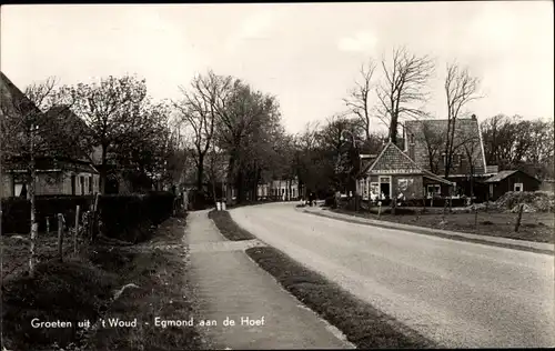 Ak Egmond aan den Hoef Nordholland Niederlande, 't Woud