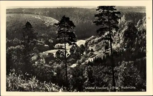 Ak Eisenberg in Thüringen, Blick auf die Walkmühle