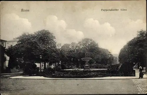 Ak Bonn am Rhein, Poppelsdorfer Allee