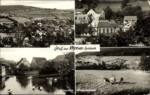 Ak Mernes Bad Soden Salmünster in Hessen, Total, Wasserwerk, Ortspartie, Wildaufnahme