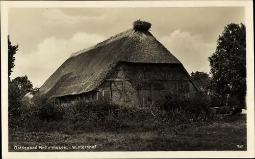 Ak Ostseebad Kellenhusen in Holstein, Wintershof