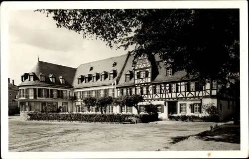 Ak Oestrich Winkel am Rhein Rheingau, Hotel Schwan