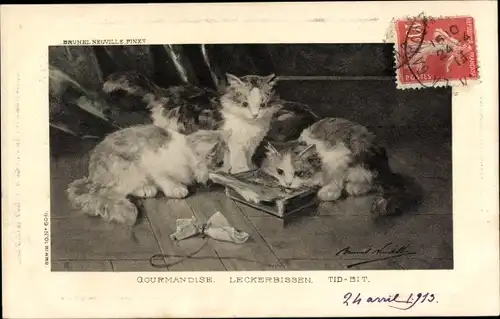 Künstler Ak Gourmandise, Leckerbissen, Drei junge Katzen
