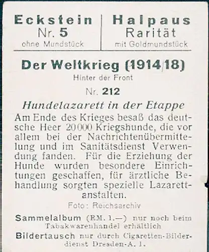 Sammelbild Der Weltkrieg 1914/18, Hinter der Front Nr. 212, Hundelazarett in der Etappe