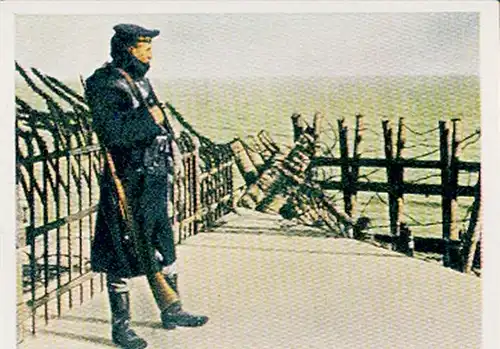 Sammelbild Der Weltkrieg 1914/18, Der Krieg zur See Nr. 239 Posten auf Helgoland, Hochseefestung