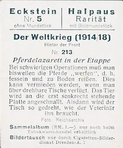 Sammelbild Der Weltkrieg 1914/18, Hinter der Front Nr. 213, Pferdelazarett in der Etappe