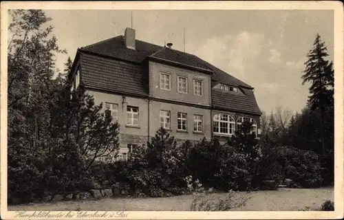 Ak Ebersbach Neugersdorf, Blick auf die Humboldtbaude, Inh. Alfred Lindner