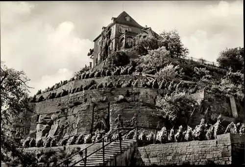 Ak Großjena Naumburg an der Saale, Alte Weinberge an der Unstrut