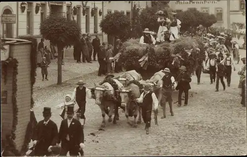 Foto Ak Triptis in Thüringen, Festzug, geschmückter Erntewagen, Rinderfuhrwerk
