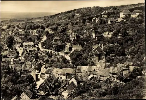 Ak Bad Frankenhausen am Kyffhäuser Thüringen, Am Weinberg, Panorama