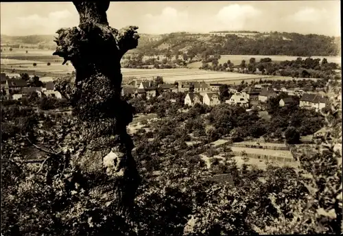 Ak Leißling Weißenfels an der Saale, Panorama