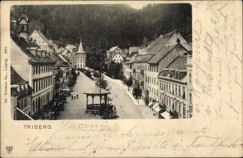 Ak Triberg im Schwarzwald, Ortsansicht