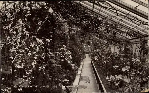 Ak Kew London Borough of Richmond upon Thames, Gardens, The Conservatory House N.4