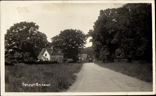 Ak Holmbury Saint Mary Surrey England, Forest Green