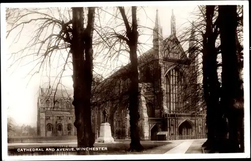 Ak Winchester South East England, Cathedral and Avenue