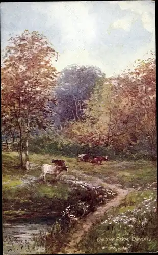 Künstler Ak Devon England, On the Plym