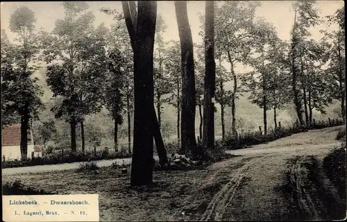 Ak Linkebeek Flämisch Brabant, Dwaarsbosch